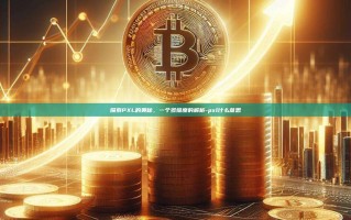 探索PXL的奥秘，一个多维度的解析-pxl什么意思