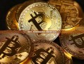 锌财经，数字时代的金融新星-锌财经是什么公司