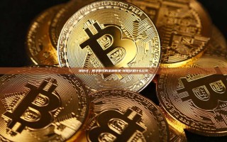 锌财经，数字时代的金融新星-锌财经是什么公司