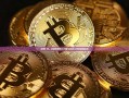 探索C网，互联网的新兴力量与挑战-c网页版编译器
