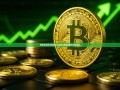 股票私募投资的奥秘与挑战-股票私募高仓位运作