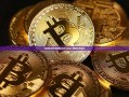 柑橘批发市场的新动态与挑战-柑橘批发基地