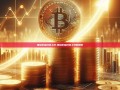 辣椒价格持续上涨-辣椒价格持续上涨的原因