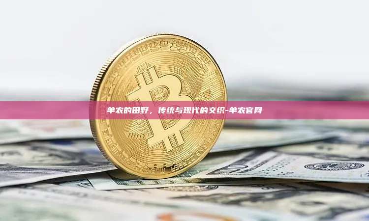 单农的田野，传统与现代的交织-单农官网-第1张图片-欧易电脑版